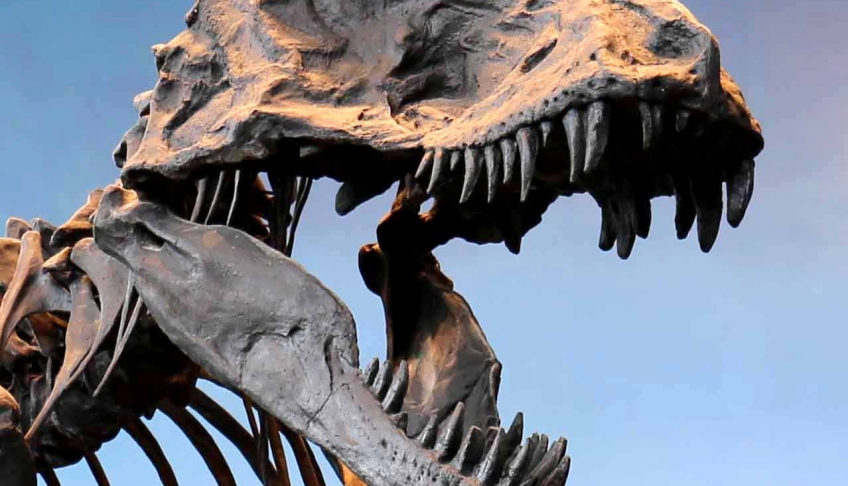 Košická paleontológia vo svete: výpravy za dinosaurami